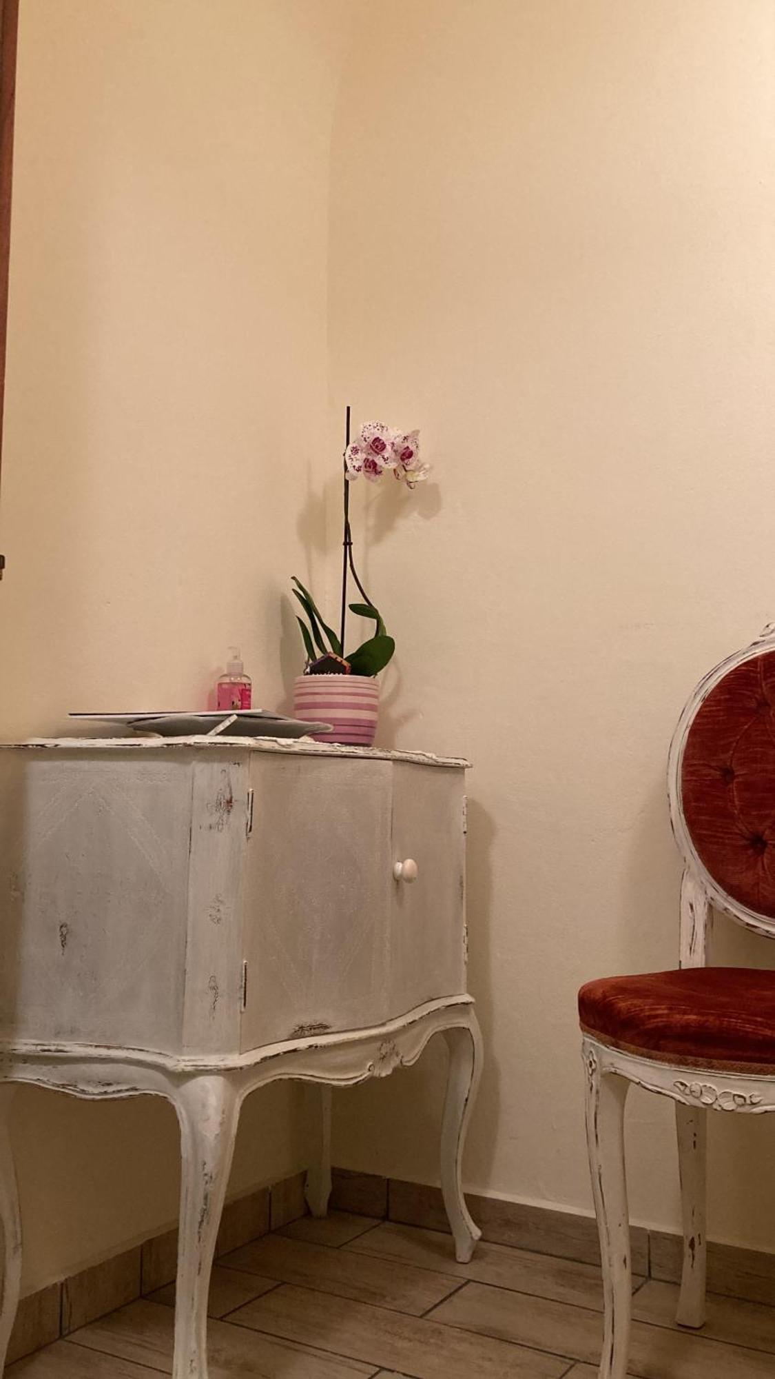 Antica Novi B & B Novi Ligure Zewnętrze zdjęcie